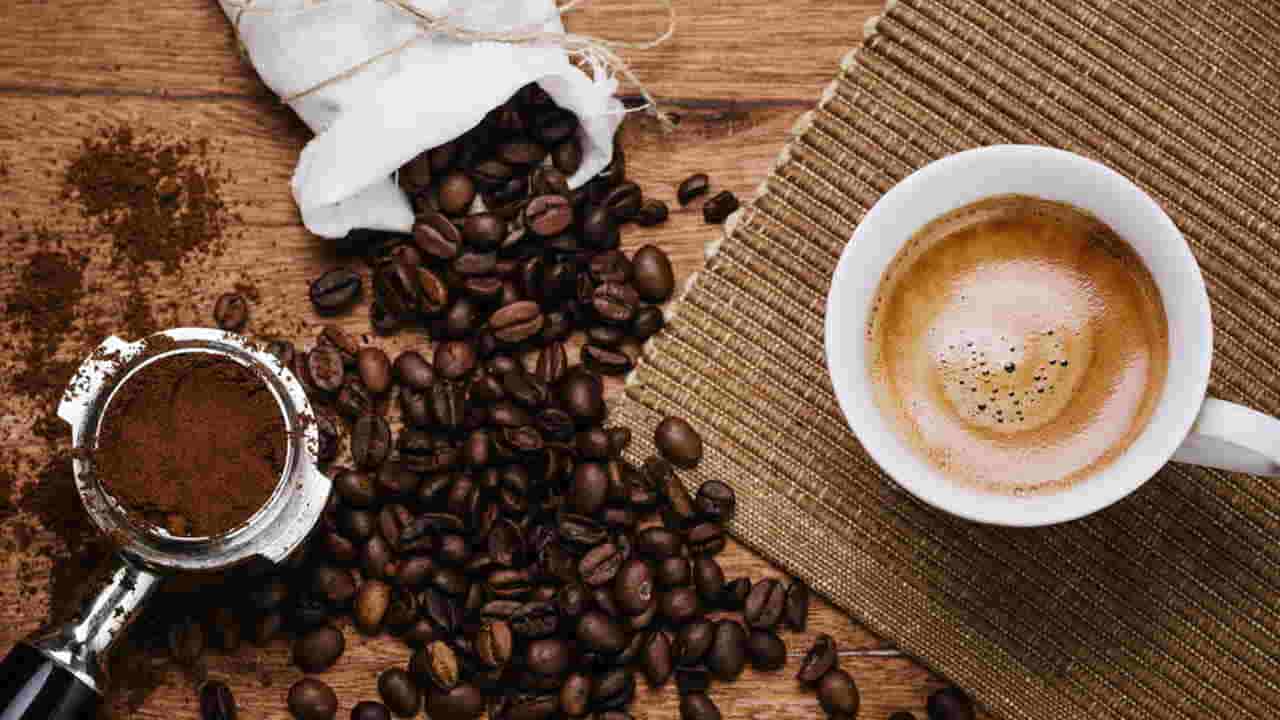 قیمت قهوه رست